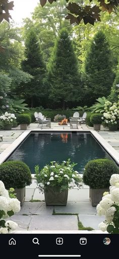 a pool surrounded by white flowers and greenery in the middle of a garden area