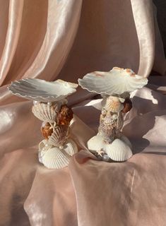 two seashells are sitting on top of each other with shells in the foreground