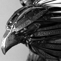 a black and white photo of a bird's head with intricate designs on it