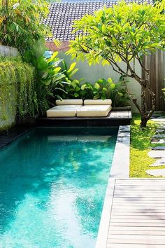 a small pool in the middle of a garden