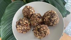 four chocolate and oatmeal balls on a white plate next to a green plant