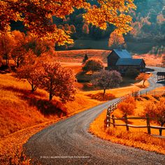 a rural country road with a barn in the background and autumn foliage on the other side