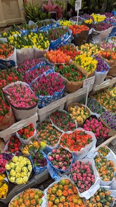 many different colored flowers are on display at the flower market, including tulips