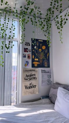 a bedroom with hanging plants and posters on the wall