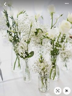 several vases filled with white flowers on top of a table