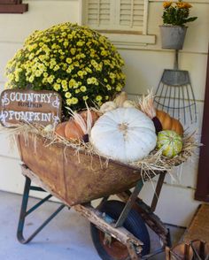 a wheelbarrow filled with pumpkins and gourds sitting in front of a house