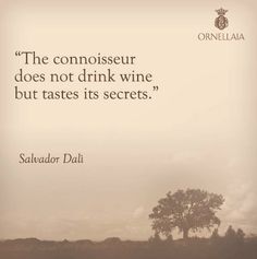 the connoisser does not drink wine, but tastes its secrets - salvador dalii