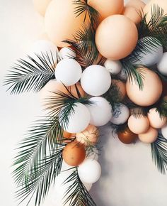 an arrangement of eggs and palm leaves on a white background