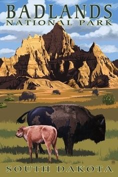 an image of two buffalos in the grass with mountains in the background and text that reads theodore roosevelt national park