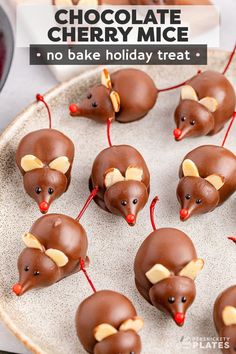 chocolate cherry mice on a plate with text overlay reading chocolate cherry mice no bake holiday treat