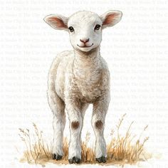 a painting of a sheep standing in the grass