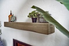 a wooden shelf with plants on top of it