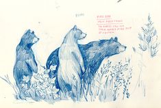 two bears are standing in the grass