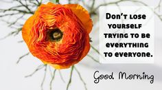 an orange flower with the words good morning on it