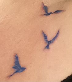 three blue birds flying in the air on top of a woman's back shoulder