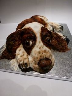 a cake shaped to look like a dog's head