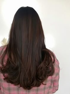 Long Dark Hair With Highlights Balayage, Black Hair Dyed Brown, Chestnut Brown Balayage, Aesthetic Hair Clips, Hair Stules, Beauty Recipes Hair, Hair Color Asian, Rambut Brunette, Black Hair Balayage