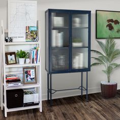 a room with a bookcase, plant and pictures on the wall