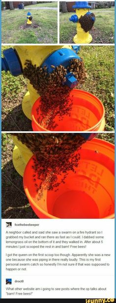 an image of some buckets with bees in them and the words beehive on it