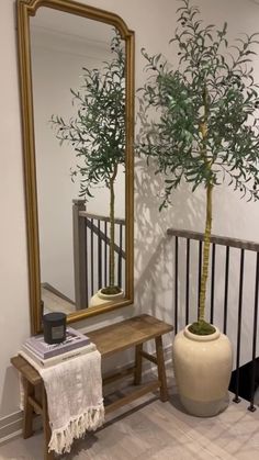 there is a small tree in the vase next to a bench and mirror on the wall