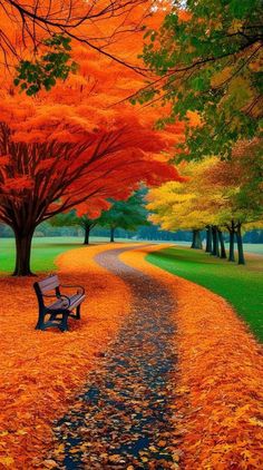 a park bench sitting on top of a leaf covered road next to trees with orange leaves