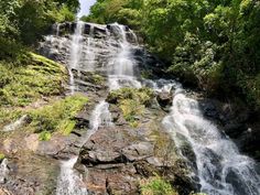 a large waterfall in the middle of a forest