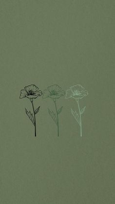 three flowers are drawn on a green background