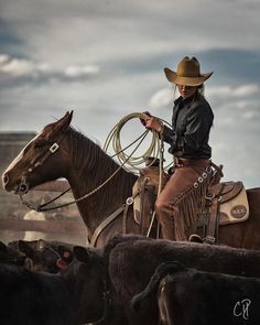 a man in cowboy hat riding on the back of a brown horse surrounded by cattle