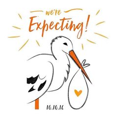 a stork holding a baby in its beak with the words we're expecting