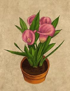 a painting of pink flowers in a pot