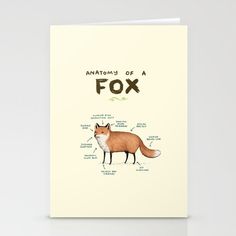 an anatomy of a fox greeting card with the words anatomy of a fox on it