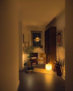 a dimly lit room with chairs and plants