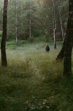 a man standing in the middle of a forest with a bible verse written on it