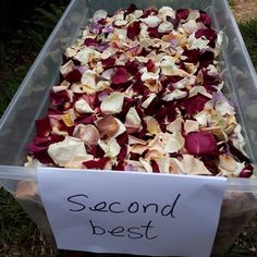 a plastic container filled with lots of rose petals next to a sign that says second best