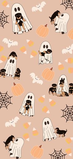 Halloween Animal Wallpaper, Spooky Time Wallpaper, Spooky Dog Wallpaper, Soft Halloween Aesthetic Wallpaper, Cute Dog Halloween Wallpaper, Halloween Wallpaper Spooky Season, Dog Ghost Wallpaper, Dog Halloween Wallpaper Iphone, Iphone Wallpaper Aesthetic Halloween