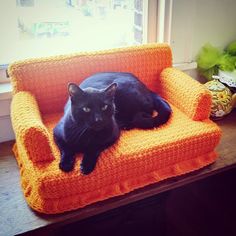 a black cat laying on an orange chair