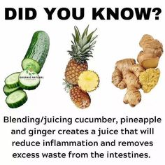 🍌🍌Smoothies Recipes 🍎 on Instagram: "DID YOU KNOW ❓ Blending cucumber 🥒 ,pineapple 🍍and ginger 🎋 is a great way to stay hydrated while improving your health. . . . . . . . . . . . . . Tag someone!!🎯😍♥️⠀ 💯 If you don't know how to start Smoothie diet properly or do you want to lose possibly 5-12 lbs in the first week alone with Smoothie ?⁣⁣⁣⁣⁣⁣⁣⁣⁣⁣⁣ 💪 Join our 21-Days Smoothie Challenge NOW to start a successful weight-loss journey and enjoy a new lifestyle!⁣⁣⁣⁣⁣⁣⁣⁣⁣⁣⁣⁣ ➡️ LINK IN BIO @ Juice Colon Cleanse, Pineapple And Ginger, Diet Cleanse, Superfood Smoothies, Smoothie Maker, Smoothie Makers