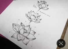 a drawing of two lotus flowers on paper