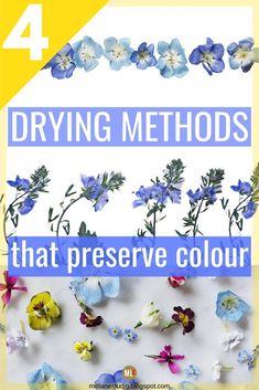 four different types of flowers with the text 4 drying method that preserves color