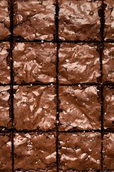 chocolate brownies that have been cut into squares