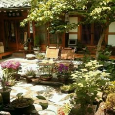 an outdoor patio with chairs and potted plants