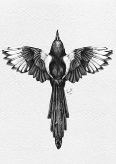 a black and white drawing of a bird with its wings spread out, flying in the air