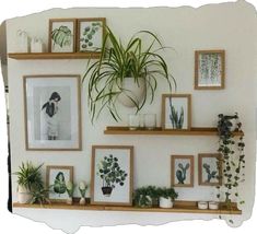 some plants and pictures are hanging on the wall next to each other in wooden frames