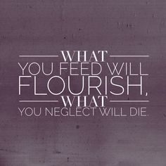 a quote that reads, what you feed will flourish what you neglect will die