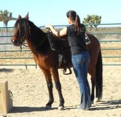 a woman standing next to a brown horse