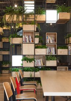 a long table with chairs and bookshelves filled with plants next to each other