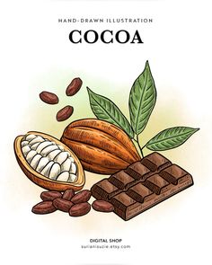 chocolate, cocoa and leaves with the words hand - drawn illustration