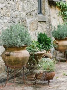 several potted plants sitting on top of metal stand next to a stone building with windows