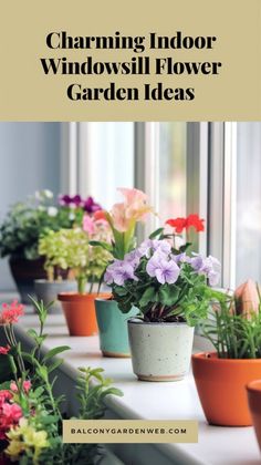 several potted plants on a window sill with text overlay reading charming indoor windowsill flower garden ideas