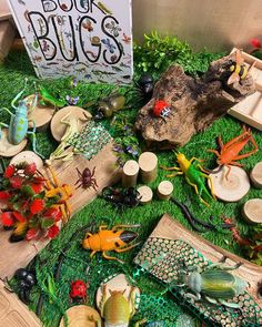 an assortment of bugs and plants on display in front of a sign that says book bug's